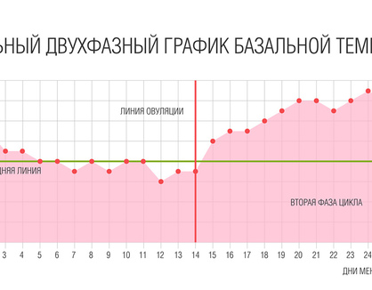 График базальной температуры